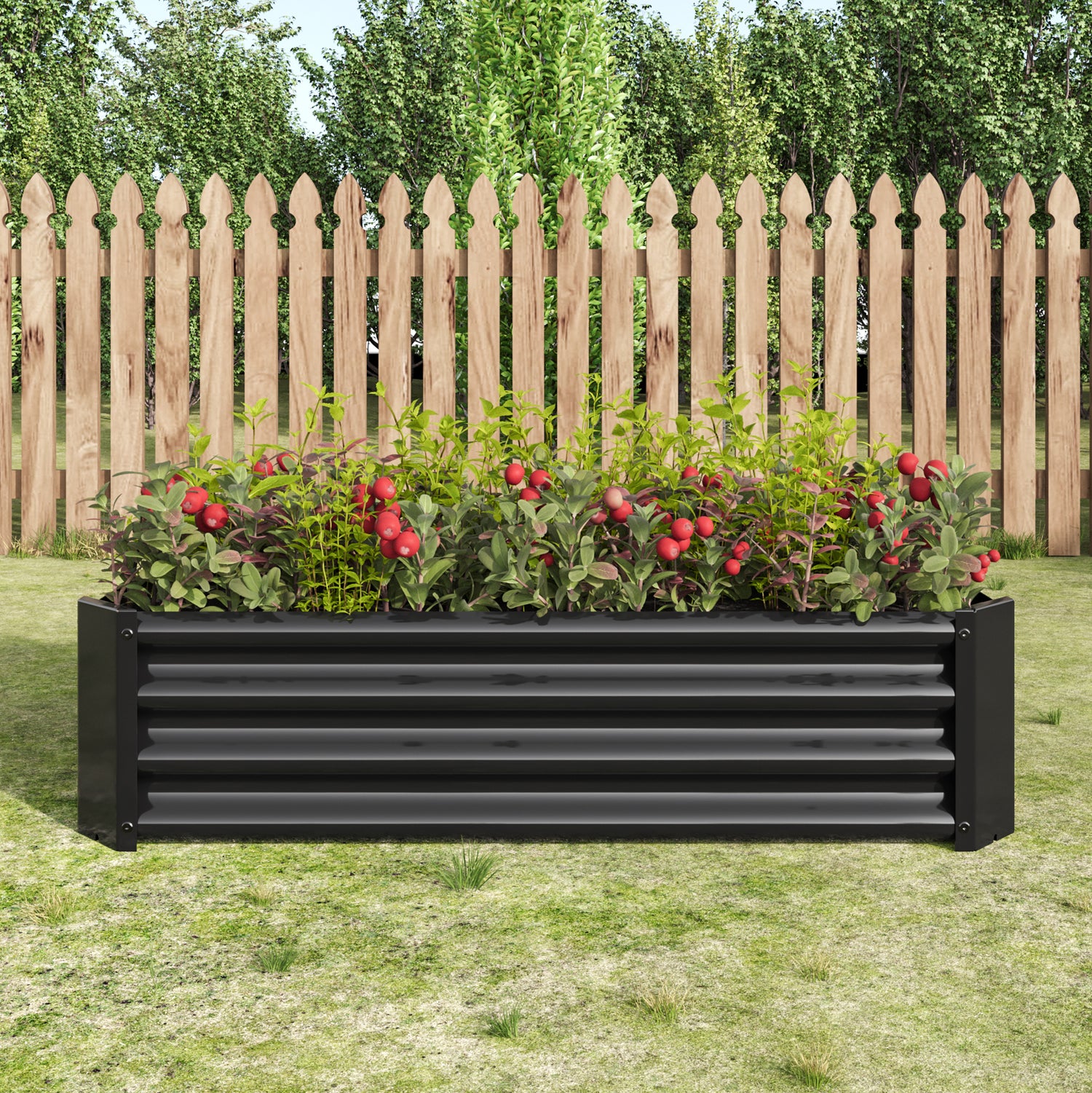 Raised Garden Beds & Garden Accessories