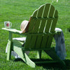Open-Box New Tradition Folding Adirondack Chair by ResinTeak - Green